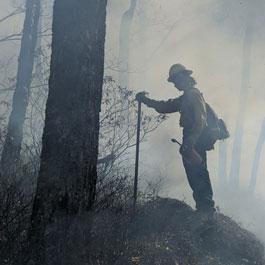 AmeriCorps member putting out fire