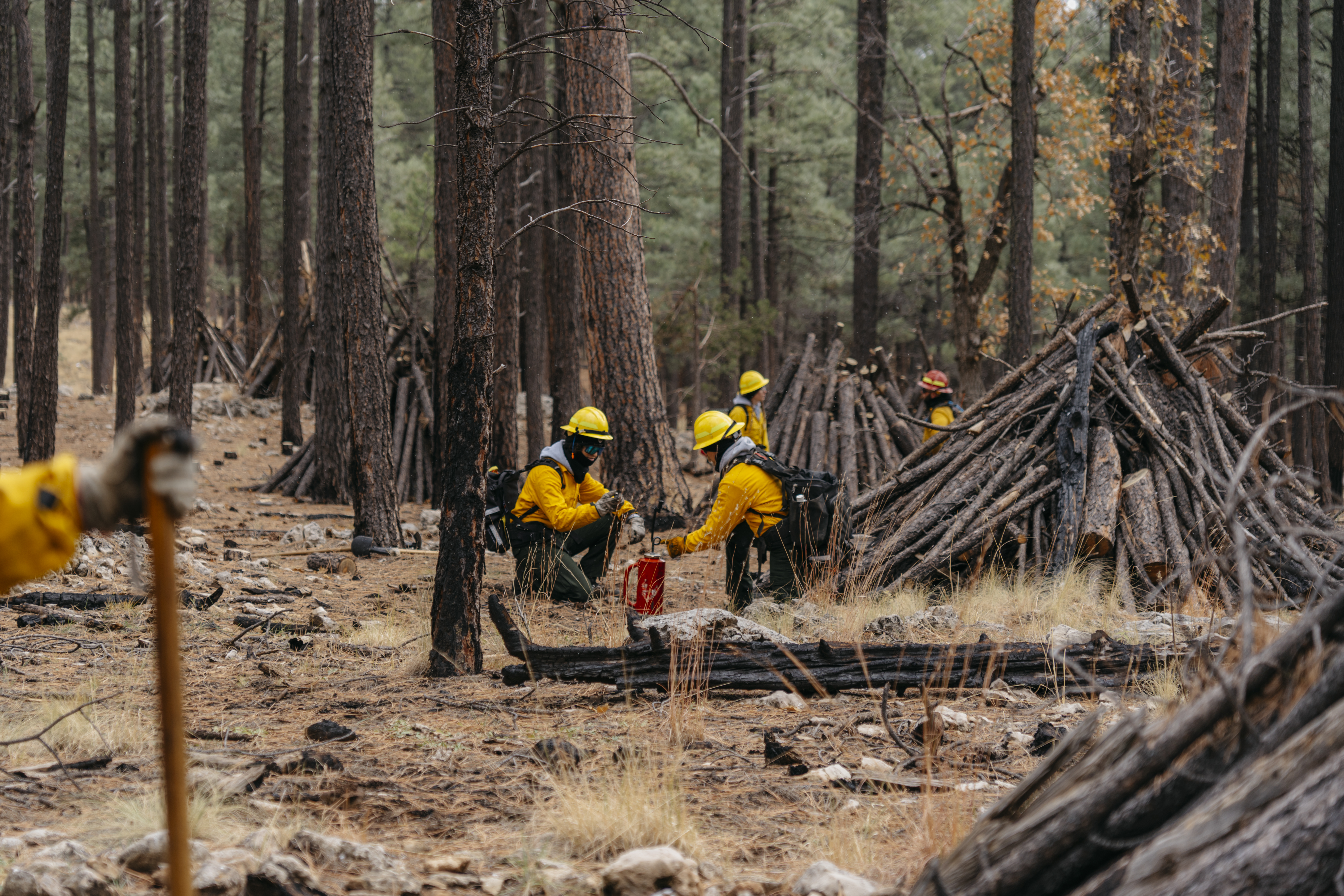 AmeriCorps NCCC members in the Forest Corps program prepare for a prescribed burn