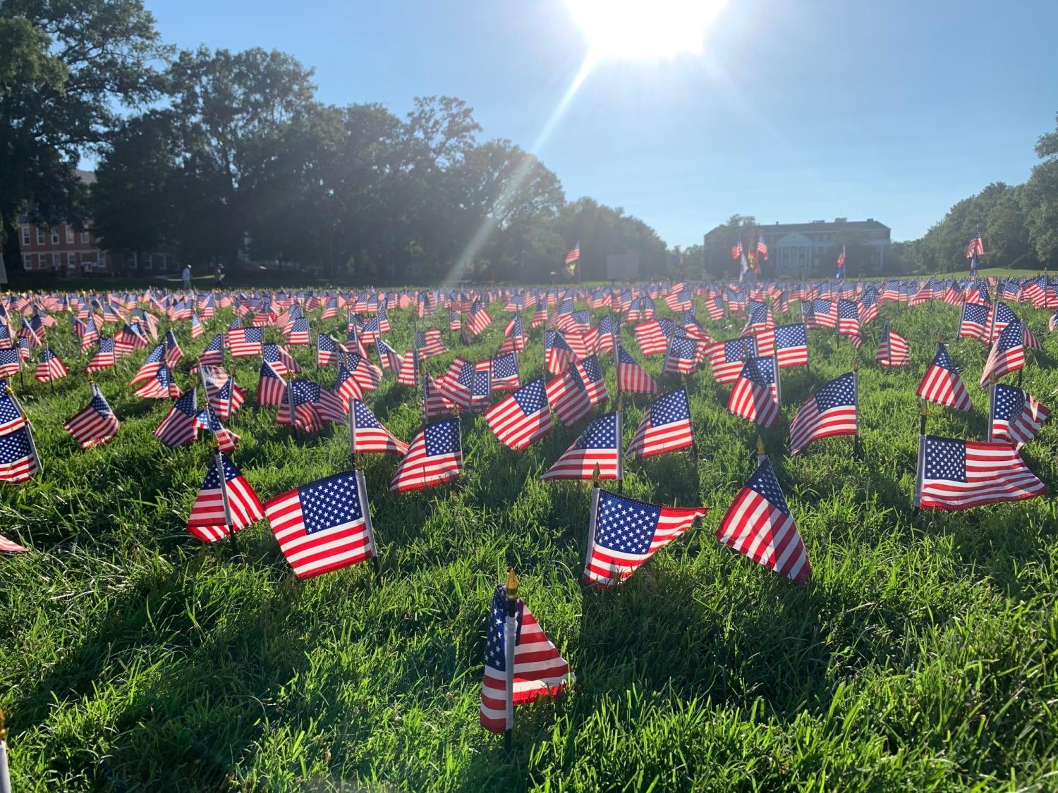 American flags in the grass. 